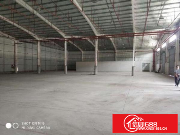 横岗六约红棉路新出物流园11000平