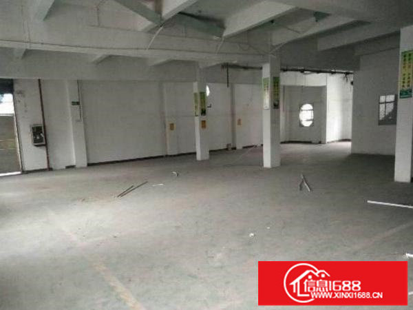 龙岗区龙城新出一楼600平方带办公室装修招租