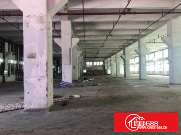 整栋出租，独门独院1-7层，每层3100平，可以分租