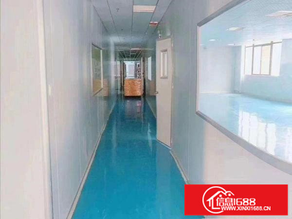 口罩客户看过来，现成无尘车间1000平