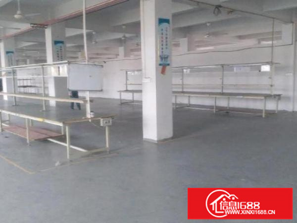 金沙瞧金北路东联标准厂房出租