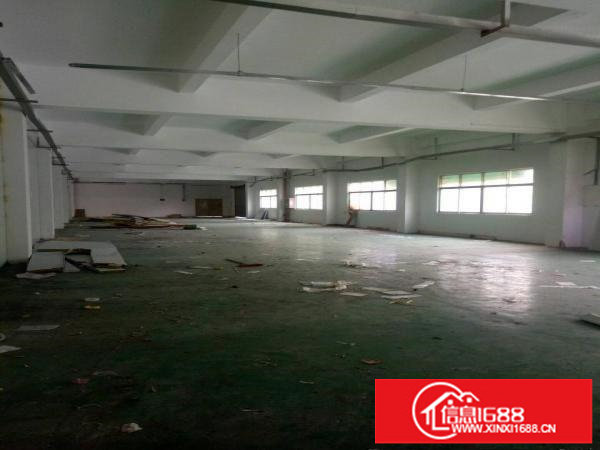 观澜福民龙澜大道边一楼1500平厂房出租