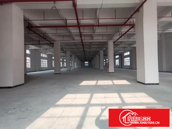 常平漂亮园区独栋现成装修厂房42000平