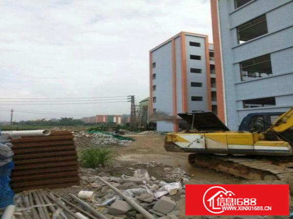 新圩高速附近原房东物业23000平方米招租(带牛角