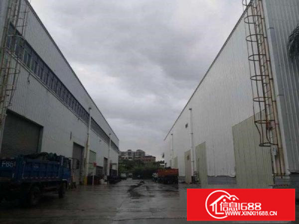 龙岗新出原房东大型工业园钢结构厂房39000平方出租，空地大