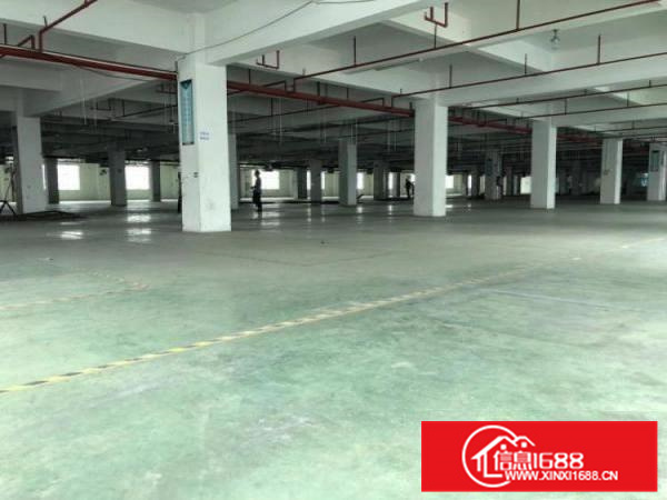 秋长楼上8000平标准厂房出租带消防有电梯可分租