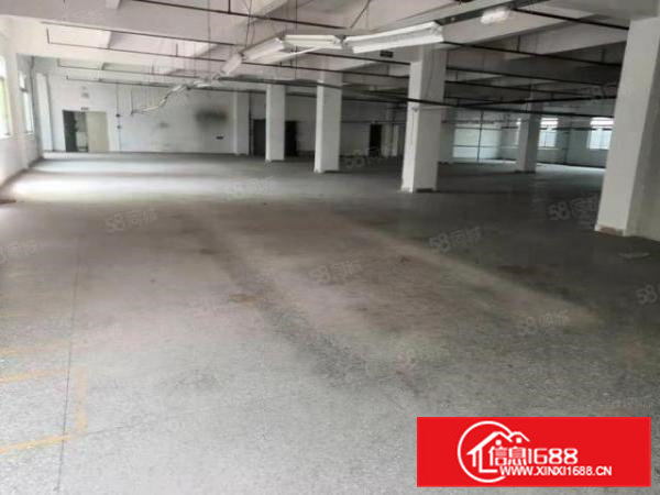 寮步向西原房东标准厂房1500平方出租带现成办公室装修