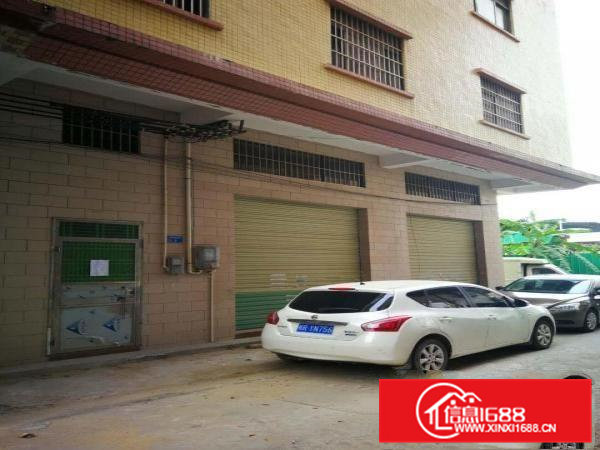 出租大朗镇洋乌洋陂新区46号出租