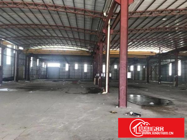 园洲镇全新滴水9米钢构厂房招租