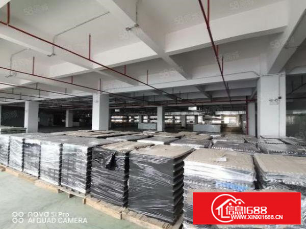 塘厦林村原房东红本厂房出租2300平方