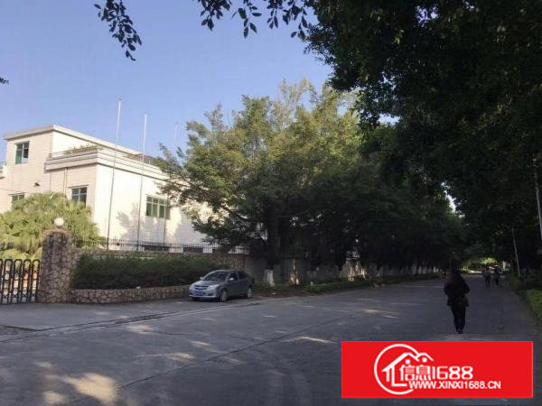 塘厦新出花园式重工一楼厂房2365平方即租