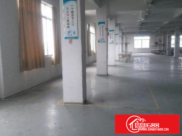 金沙瞧金北路东联标准厂房出租