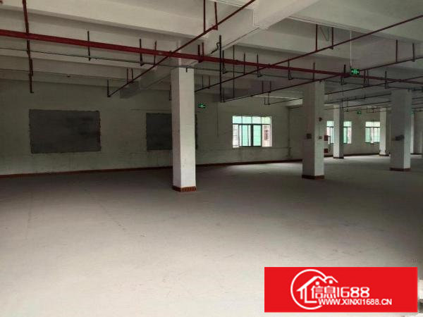 出租龙岗区横岗1100平厂房