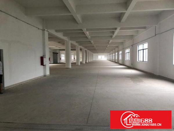 大岭山水朗工业园新建厂房一楼3200平方，可办环评