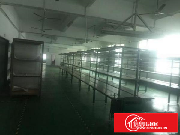 沙井芙蓉二楼1000平三楼700平村委厂房直租