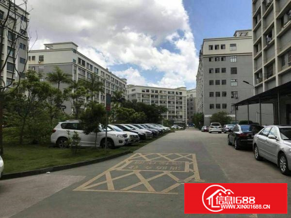 布吉上李朗1300平一楼标准厂房