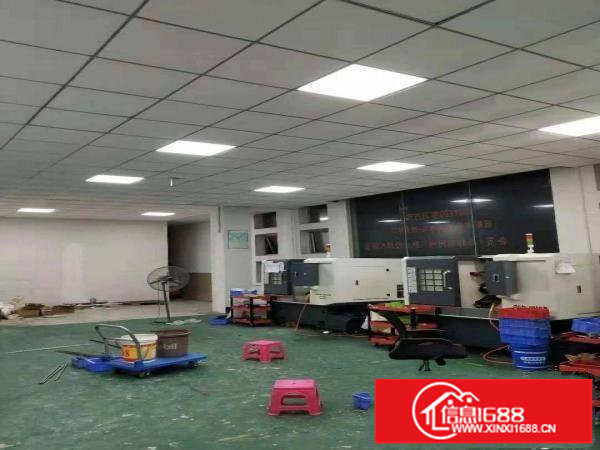 出租布吉布吉街楼上400平方