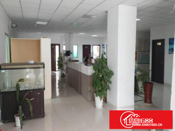 杨美新出2100平方带精装修适合电商办公可分租