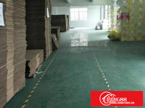 龙岗爱联新出原房东独门独院900平标准厂房招租