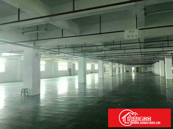 平湖沈海高速附近新出独院厂房18000平米招租