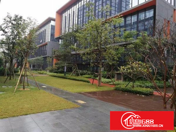 龙岗宝龙高端企业部研发办公楼全球招租