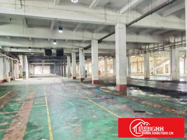 寮步西溪新出一楼厂房出租可办环评方正实用原房东出租空地大