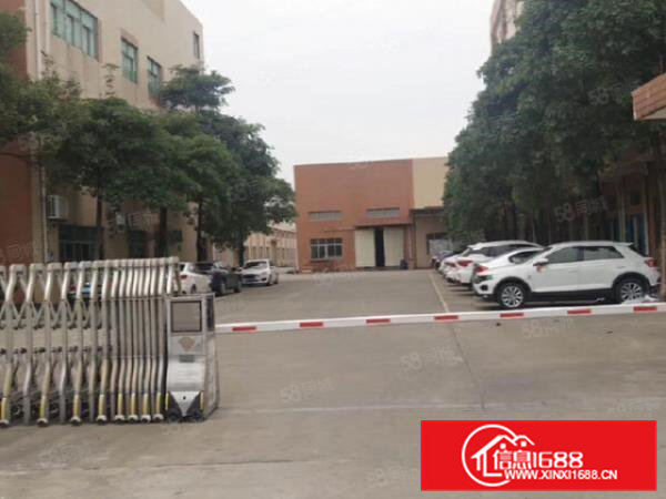 桥头独院厂房4500平出租，滴水8米可办环评可做家具五金