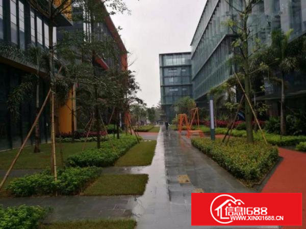 龙岗宝龙高端企业部研发办公楼全球招租