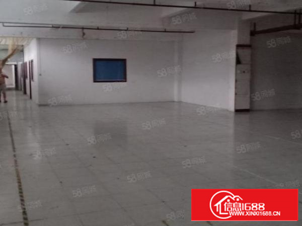 新空出一二楼带现成豪华装修厂房五六百平米电梯厂房业主直接出租