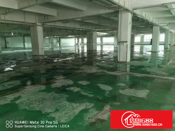 大朗汽车站附近新出标准厂房分租一楼5000平米可任意分租。