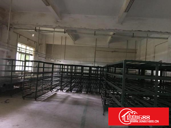 出租坪山新区周边大工业区坑梓镇500平左右超靓标准厂房