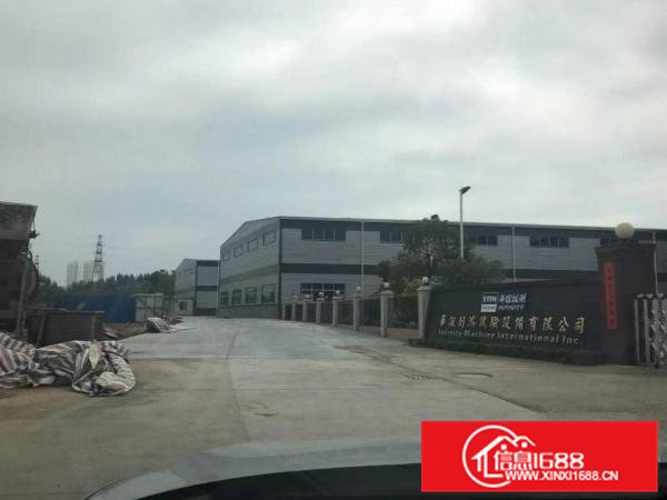 桥头大洲新出单一层9米高钢结构9700平米可分租