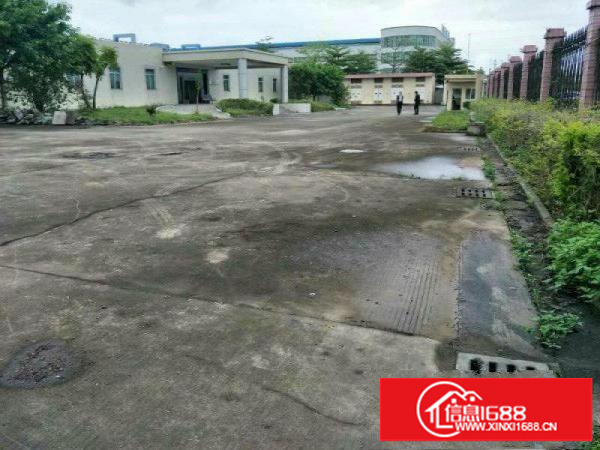 免中介费坪山石井空置1楼450平米标准厂房出租