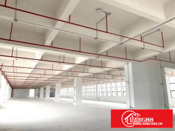 万江9成新园区标准1楼整层2200平方分租（另可分租）