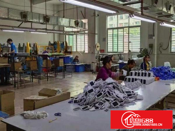 朗洲独门独院原房东一楼1000平招租实际面积可办环评