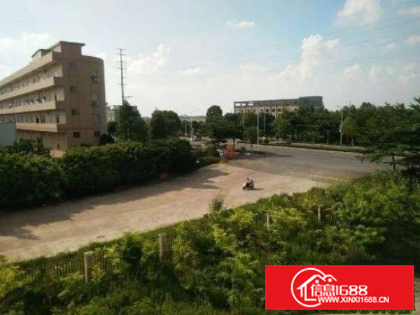 近番禺，大路边独院新建厂房，形象好，独立办公宿舍