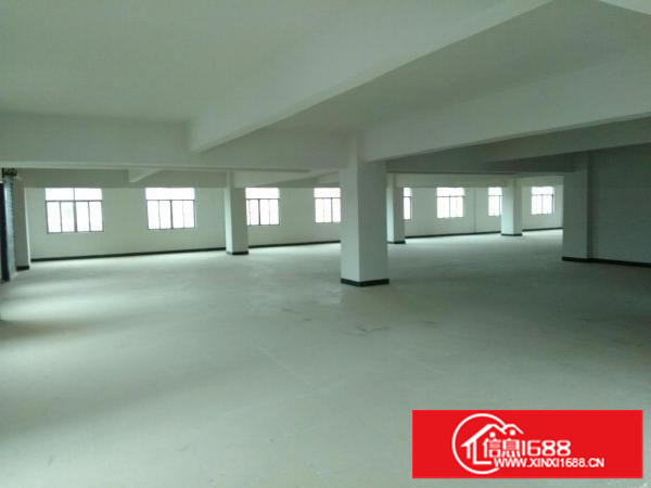 坑梓秀新工业园独院新出厂房2栋共6400平厂房招租(可分租)