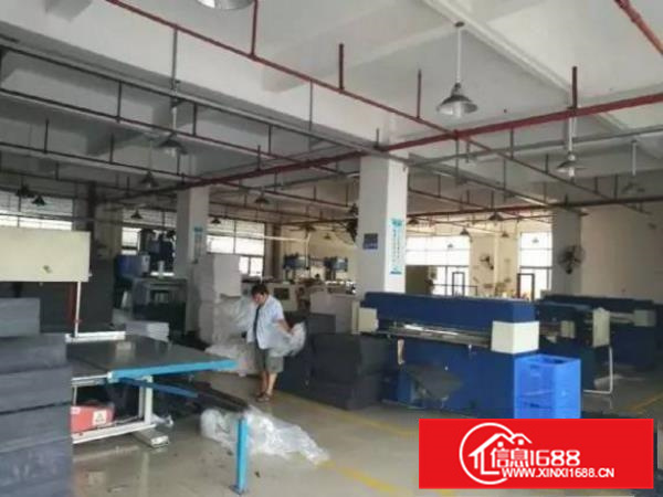 仲恺陈江独门独院3600平方厂房，空地大，形象好