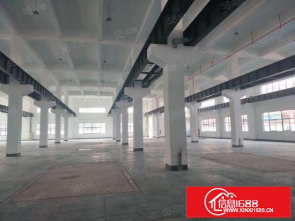 可办环评，形象好容桂标准1000方一楼大马路边配电大a