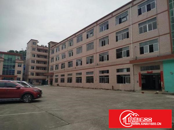 龙岗宝龙原房东厂房出租12500平带装修空地大可分租