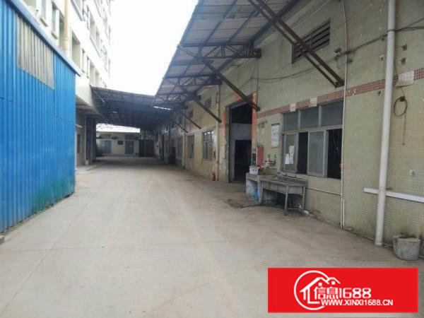 常平镇环城路边单一层3000平方对我招租