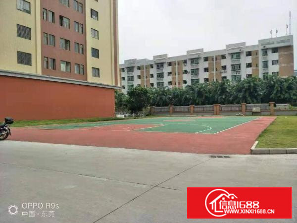 长安镇沙头原房东带红本厂房3600平方