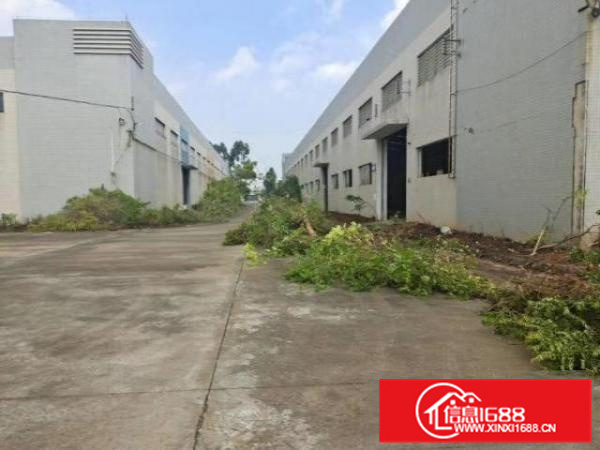 狮北新空出园区式厂房出租。