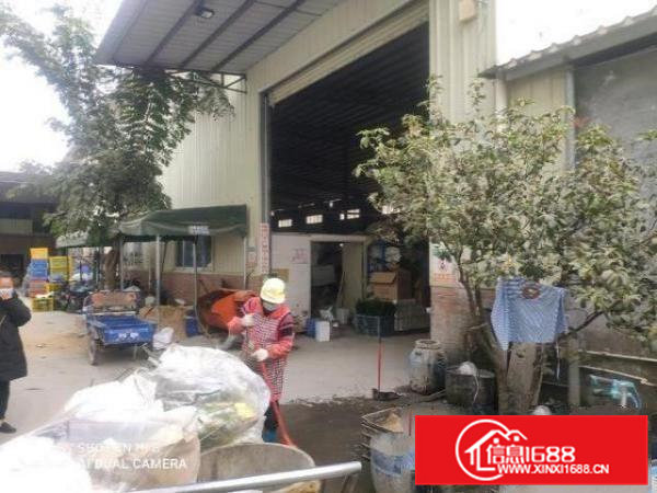 石排镇独门独院原房东新建单一层重工业钢构厂房滴水12米工业地