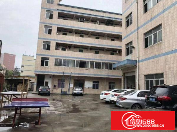 龙岗坪地坪西红本独院厂房招租6500平米