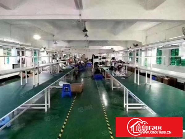 出租龙华大浪新百丽附近新出楼上2000平精无公摊厂房出租.