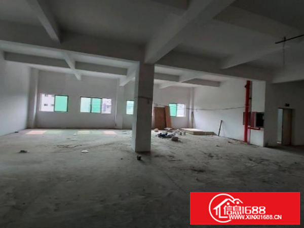 产业园C栋2楼，一手房源有红本