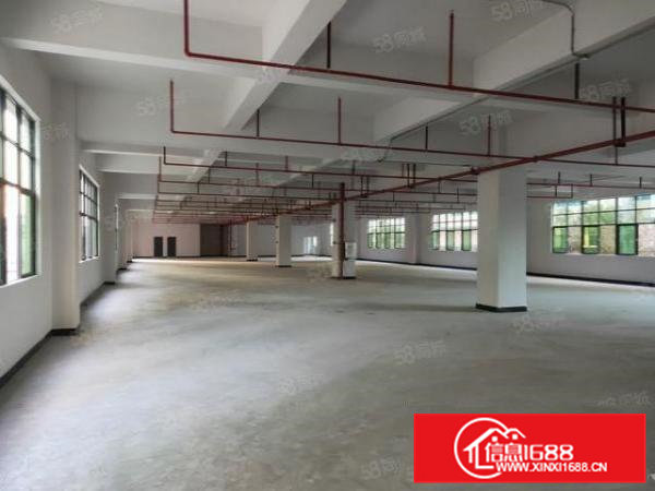 凤岗雁田新空出独门独院3600平方花园式厂房出租(可以分租)