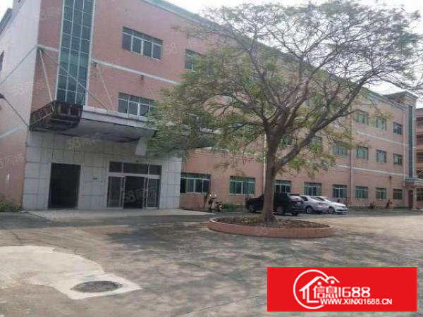 大小分租清溪三中独院3层9000平厂房仓库出租空地大