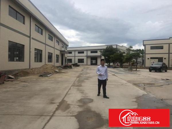 惠东白花全新滴水8.5米钢构16600平米不挑行业大小分租